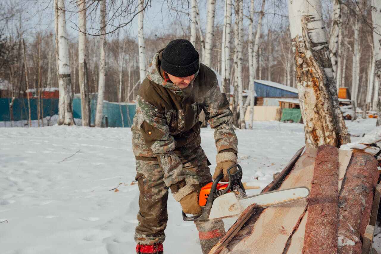 Best Emergency Storm Tree Removal  in USA